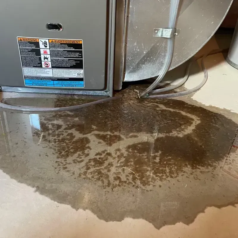 Appliance Leak Cleanup in Wenonah, NJ